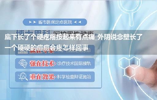 底下长了个硬疙瘩按起来有点痛_外阴说念壁长了一个硬硬的痘痘会疼怎样回事