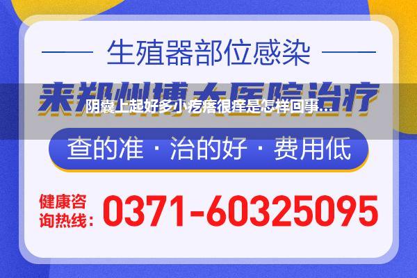 阴囊上起好多小疙瘩很痒是怎样回事…