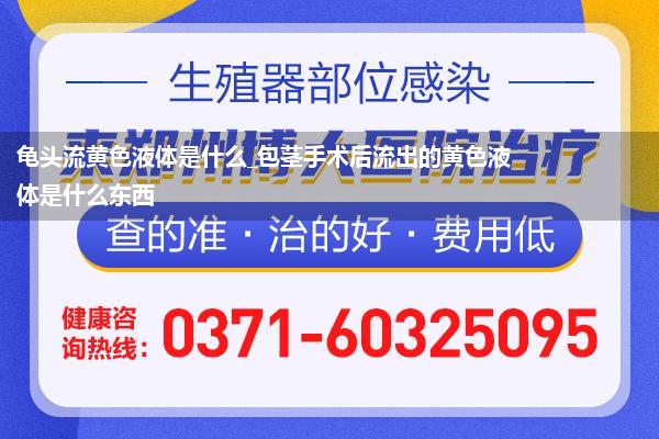 龟头流黄色液体是什么_包茎手术后流出的黄色液体是什么东西